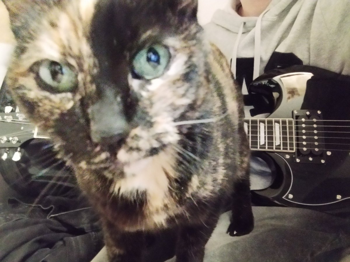 La mejor foto que he tomado