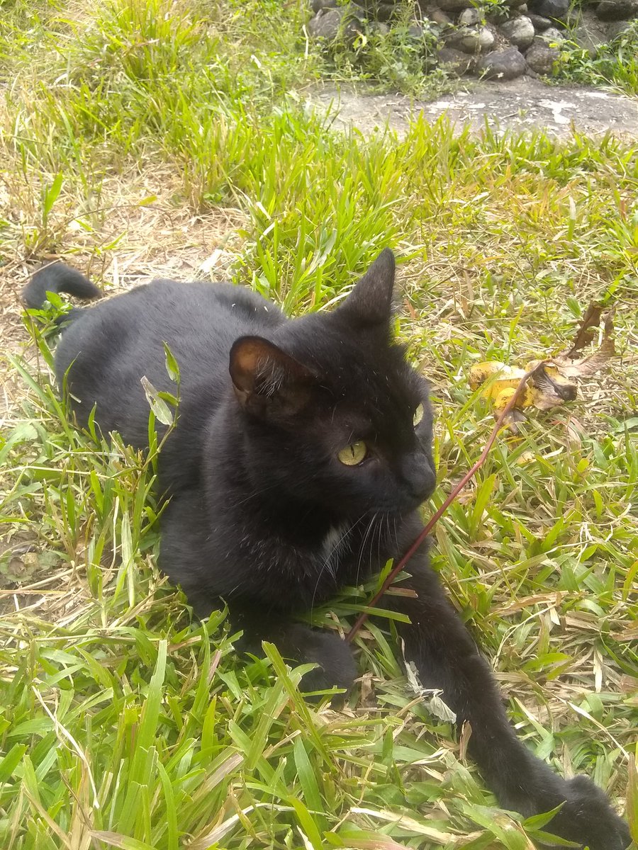 ¡Hola a todos! Esperamos contar con su difusión para hoy conseguir ayuda🆘 para  los alimentos de La Manadita ¡Estamos en cero! 
RT🙏RT

Mercantil 0105
9.991.935
04161151348
Paypal doralismadera@gmail.com