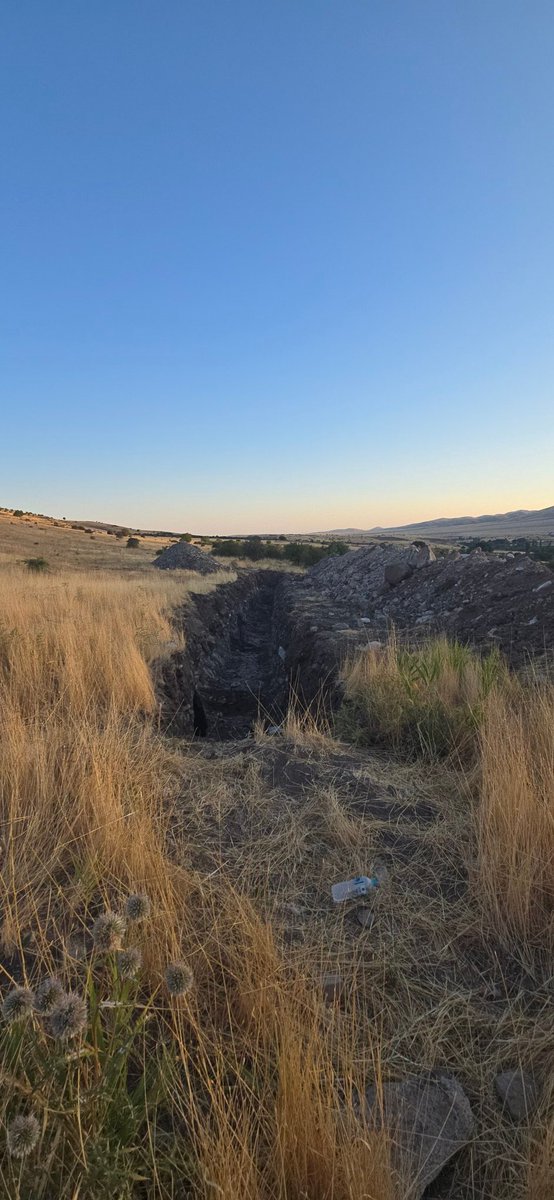 Doç. Dr. Taylan SANÇAR tweet media