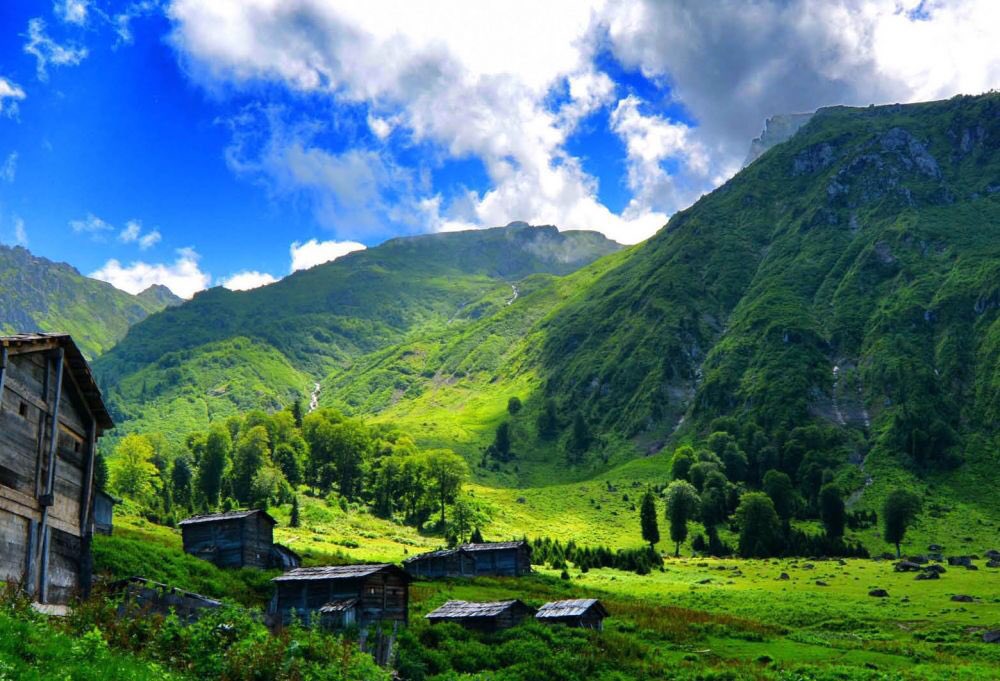 OkuneOrg's tweet image. #Macahel, Batum'un 20km güneydoğusunda, kendisi ile aynı adı taşıyan bir vadi ile çevresini içine alan bir beldedir. Ormanları, yaşları asırlarla ölçülen balta değmemiş anıt ağaçlar ve endemik bitki türleriyle… &amp;gt;&amp;gt; tr.okune.org/wiki/index.php…