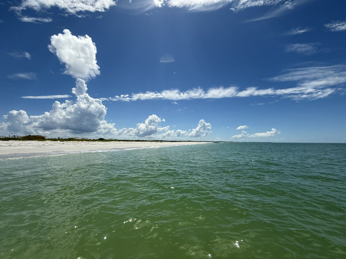 Smooth1BC's tweet image. Sunday, fun day.