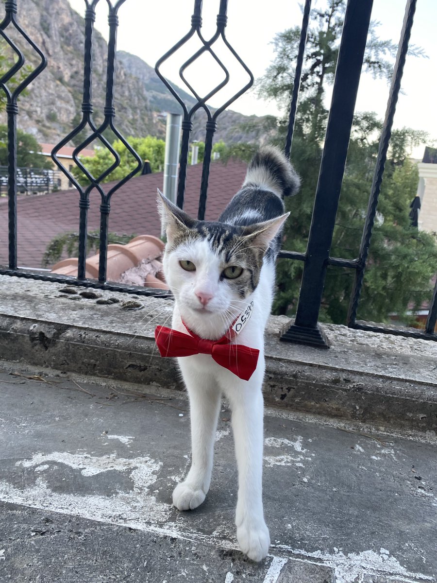 Amasya sokaklarında bir güzellik.