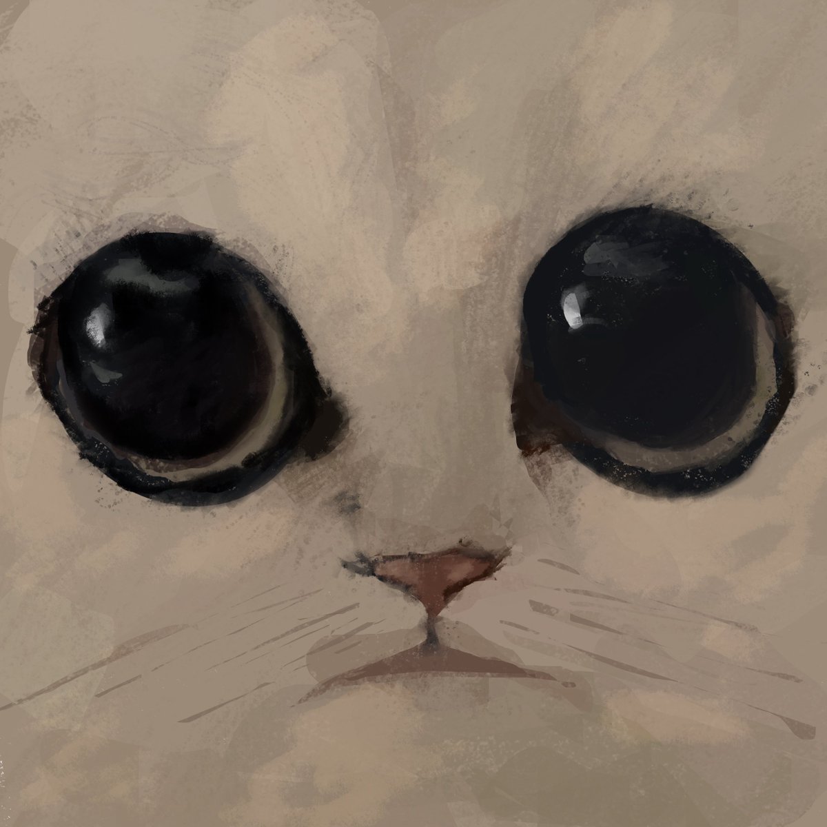 I have just collected "Meow" by @colinsdoodles on <a href="/objktcom/">objkt</a> objkt.com/tokens/KT1SXHw…

This is SOOO cute!!🥹