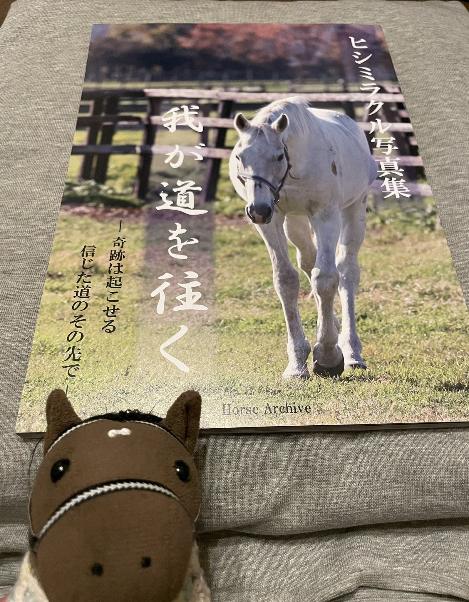 ミスターシービー写真集 Amazon.co.jp: 写真集ミスタ-シ-ビ- : 吉永 みち子, 植島 啓司
