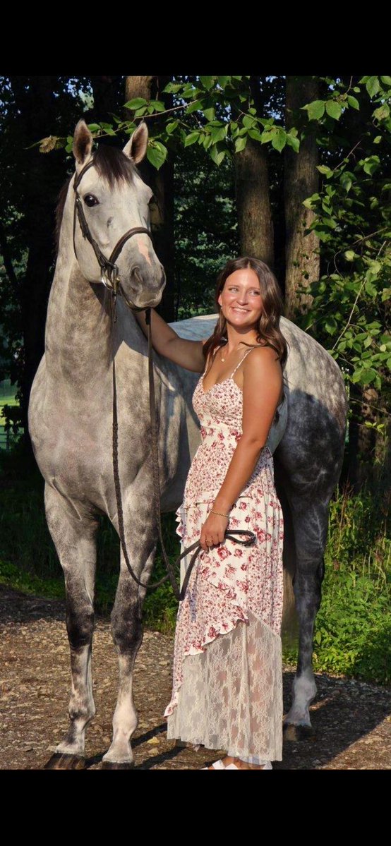 Sherrie Courtney (@sebcourtney) on Twitter photo ‘I’m ready for my closeup Mr DeMille’😍MAGISTRATE and Claire had a photo shoot the other day- I think they look great! Claire helps with the <a href="/racingforhome/">Racing for Home, Inc</a> horses This boy loves the #OTTB life- he’s sweet and easygoing and we adore him 💙 ‘I’m ready for my closeup Mr DeMille’😍MAGISTRATE and Claire had a photo shoot the other day- I think they look great! Claire helps with the <a href="/racingforhome/">Racing for Home, Inc</a> horses This boy loves the #OTTB life- he’s sweet and easygoing and we adore him 💙
