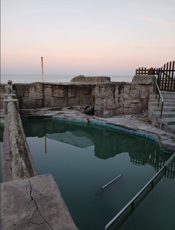 🚨 Mientras en Mar del Plata hace unos días se celebraba una expedición épica en el Mar Argentino, en la superficie la realidad es otra…

🐬 Animales abandonados en el Aquarium de MDP, cerrado hace 5 meses.

⚠️ ¡No podemos mirar para otro lado! Exigimos soluciones urgentes.