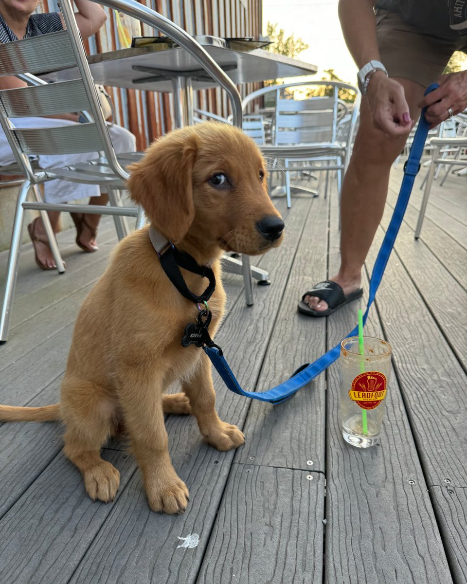 When they finally pass you a glass but it's already empty... 🙄 Come get a Sunday drink in, we're open until 6pm!