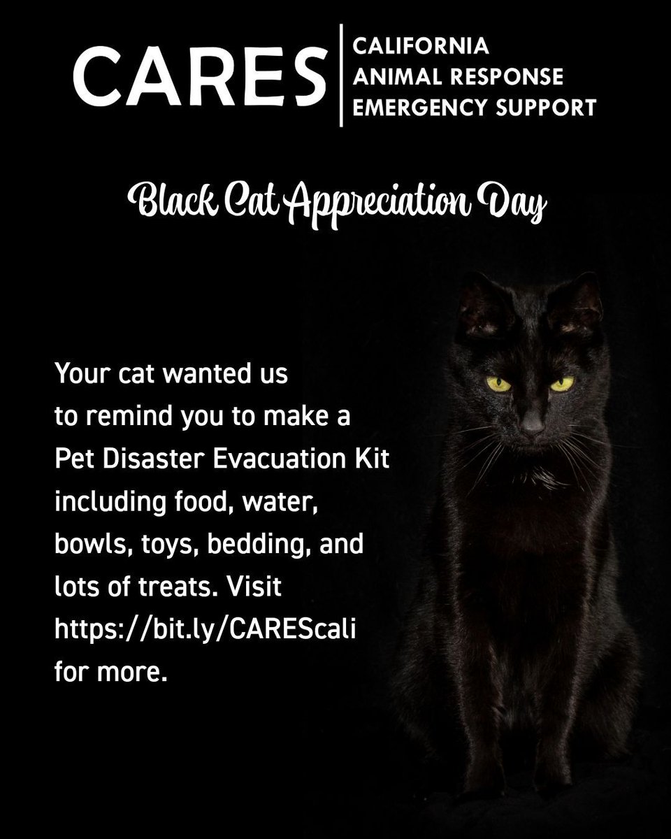 cdfa_cares's tweet photo. Black cats are seen as loyal companions. Show your appreciation on #BlackCatAppreciationDay by making a Pet Disaster Evacuation Kit. Celebrate our cuddly friends, no matter what color their coat is!
#California #Animals #NorCal #SoCal #CentralCalifornia #Pets https://t.co/itakxLpJlR