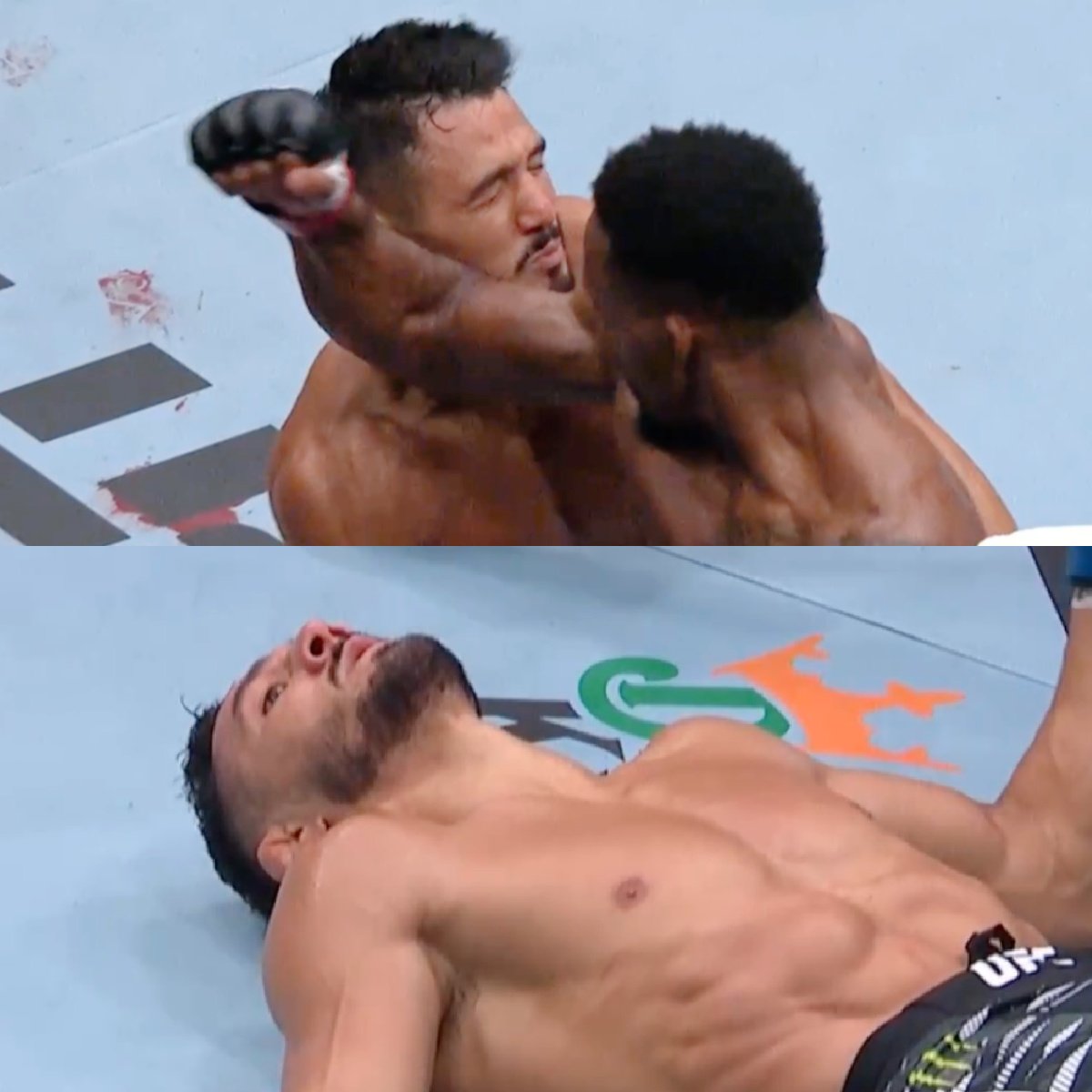 TaylorJohn41431's tweet image. #TeamPico