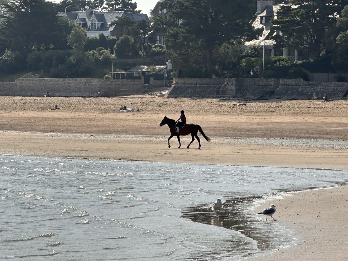 CPASGAGNE69's tweet image. Plage du Havre, #SaintMalo 
#LaVieEnBleu💙