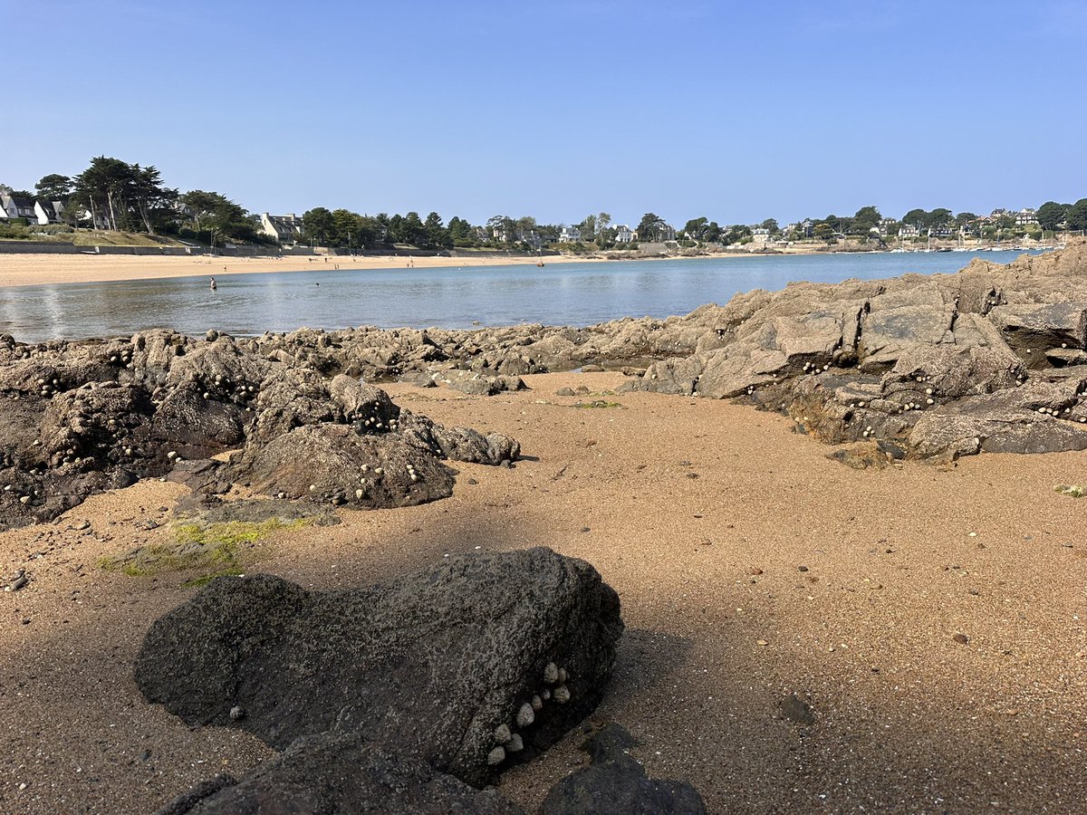 CPASGAGNE69's tweet image. Plage du Havre, #SaintMalo 
#LaVieEnBleu💙