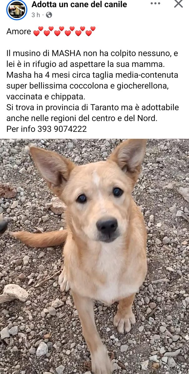 È stupenda ..... 🙏💔😢
facebook.com/share/1ENoFjUp…