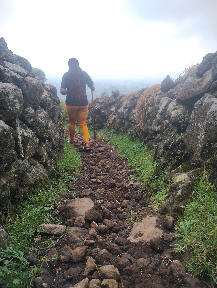 sr_yazeed's tweet photo. The rough drive From Kisoro to the Base camp of Muhabura was an experience to remember, the Nature walk through wheat fields, Iron rocks and welcoming communities made the visit more memorable.
Next time I'll come fully energised to reach the peak 
#ExploreUganda https://t.co/HkMouteqPI