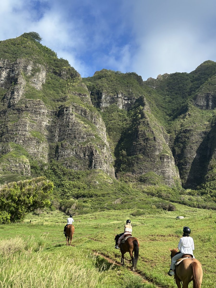 qasdguio's tweet photo. Saddle up, breathe deep, and let the world fade away. In the company of my horse, I discover who I truly am. ππ #RidingTherapy #EquestrianLove https://t.co/nPHG4J1bQZ