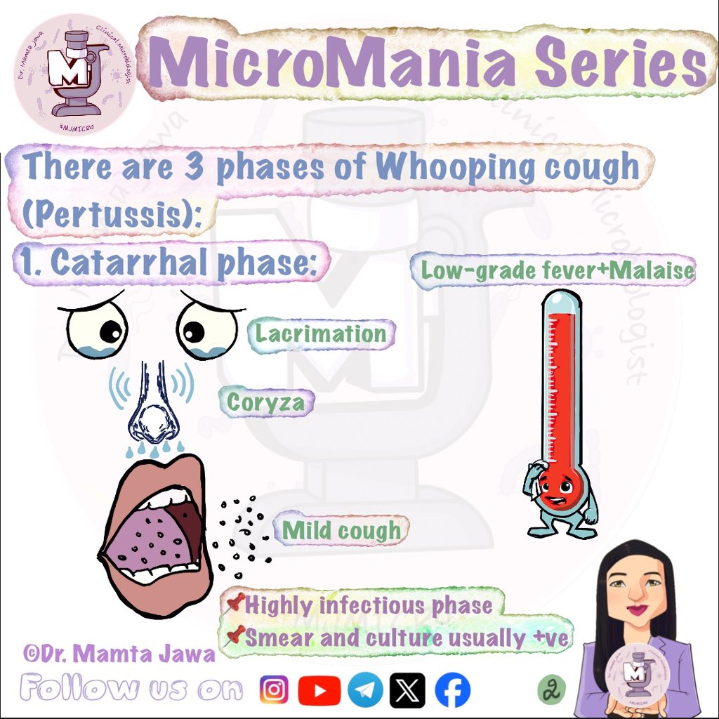 MJ_MICRO's tweet photo. MicroMania Series Day-6 ✨🧿

#MamtaJawa #MJMICRO #Microbiology #MedTwitter #MedX #MicroTwitter #MedStudent #MedStudentTwitter #NEETPG #neetpg2026 #INICET #FMGE #USMLE #ASM #AmericanSocietyOfMicrobiology #CDC #MicrobiologyMCQ #IDtwitter #microrounds #mayoclinic https://t.co/E6pCg8VDVe