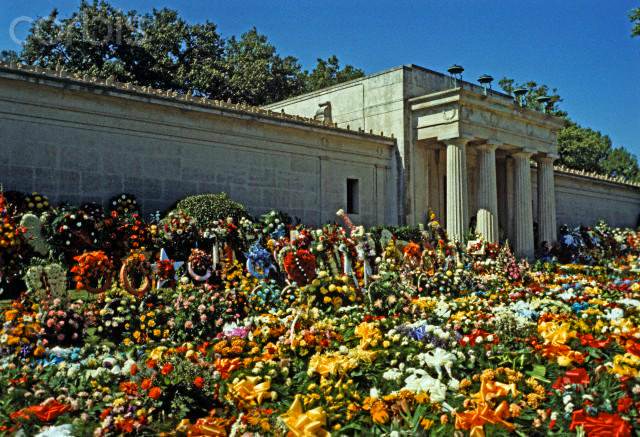gginger069's tweet photo. The Most
Flowers ๐น Ever
Sold In U.S.
Is The Day After
Elvis Died
He Still Holds
This Title
๐น๐ท๐บ๐ฅ๐ฅ๐๐ผ๐ป๐ชป๐ท
August 17,1977๐ท๐ชป๐ฅ
#RememberingElvis
#Elvis https://t.co/tzYWraHUEW