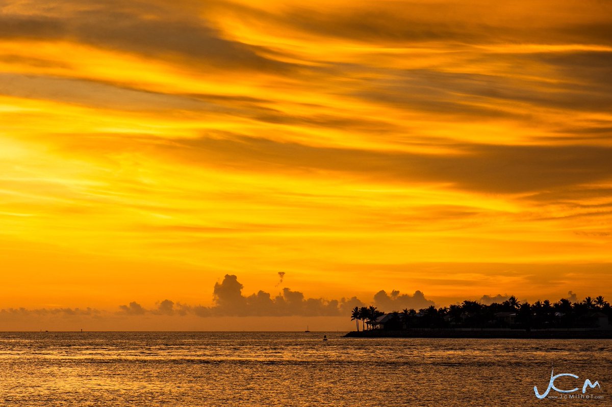 Photo du dimanche.

Silhouettes des palmiers et de la côte de Sunset Key au coucher du soleil depuis le Truman Waterfront Park a Key West.
-
#FloridaKeys #Sunset #USA
📸 Jc Milhet / #HansLucas