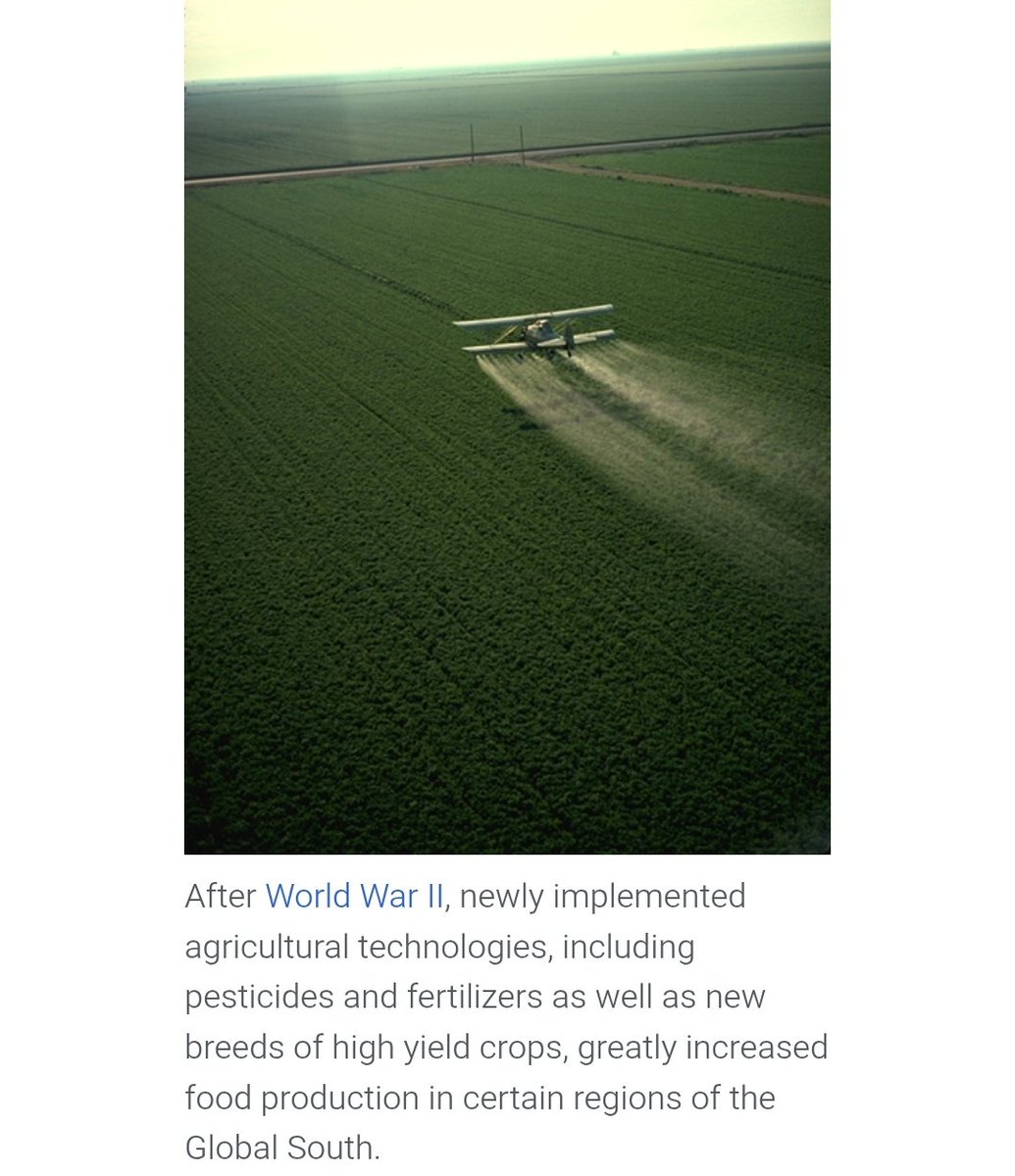 The Green Revolution remains extremely undertalked in its significance. Before it, people were aping with all sorts of apocalyptic extremism. You had the Nazis and their "millions must die" plan. You had Paul Ehrlich and his "billions must die" plan. You had commies and their