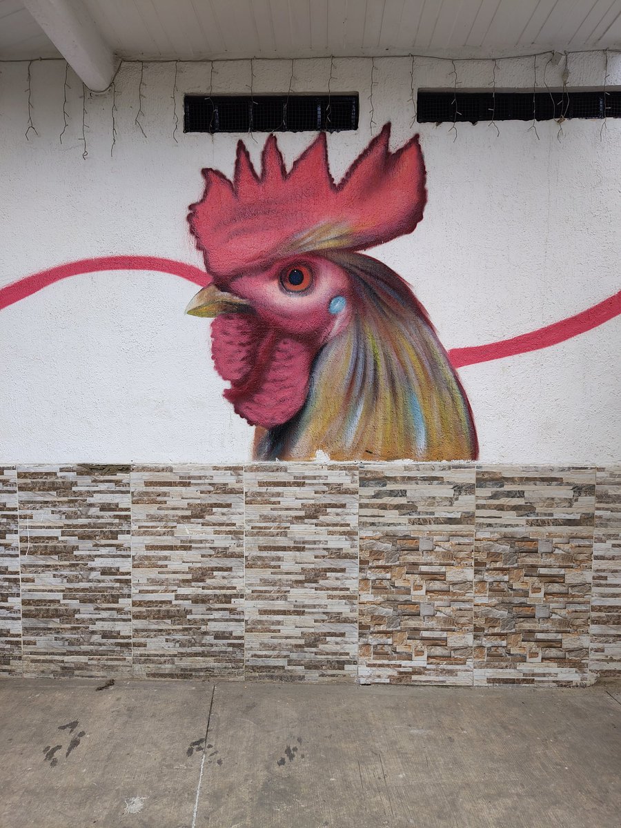 El bienestar de los gallos, tema de interés general de gran importancia. Pero mucho más cuando tu apellido es ese: gallo. Quien quita que por efecto simpatético apliquen recomendaciones análogas.