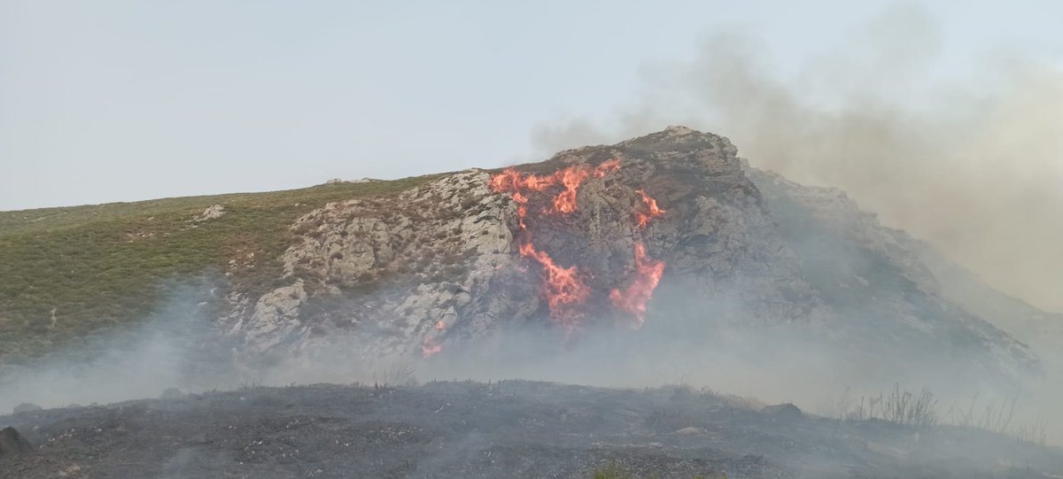 OrgulloGalegoGz's tweet photo. Imaxes que nos manda o Juanjo desde Trevinca. Alí estiveron sos el e máis Mónica pelexando contra o lume pero é imposible

Arde Pena Trevinca, Pena Negra, Pena Surbia, Lagoa da Serpe..a xoia medioambiental sendo liquidada, por favor, mandade algún medio para alí se é posíbel https://t.co/wY86TcXLnt