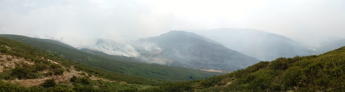 OrgulloGalegoGz's tweet photo. Imaxes que nos manda o Juanjo desde Trevinca. Alí estiveron sos el e máis Mónica pelexando contra o lume pero é imposible

Arde Pena Trevinca, Pena Negra, Pena Surbia, Lagoa da Serpe..a xoia medioambiental sendo liquidada, por favor, mandade algún medio para alí se é posíbel https://t.co/wY86TcXLnt