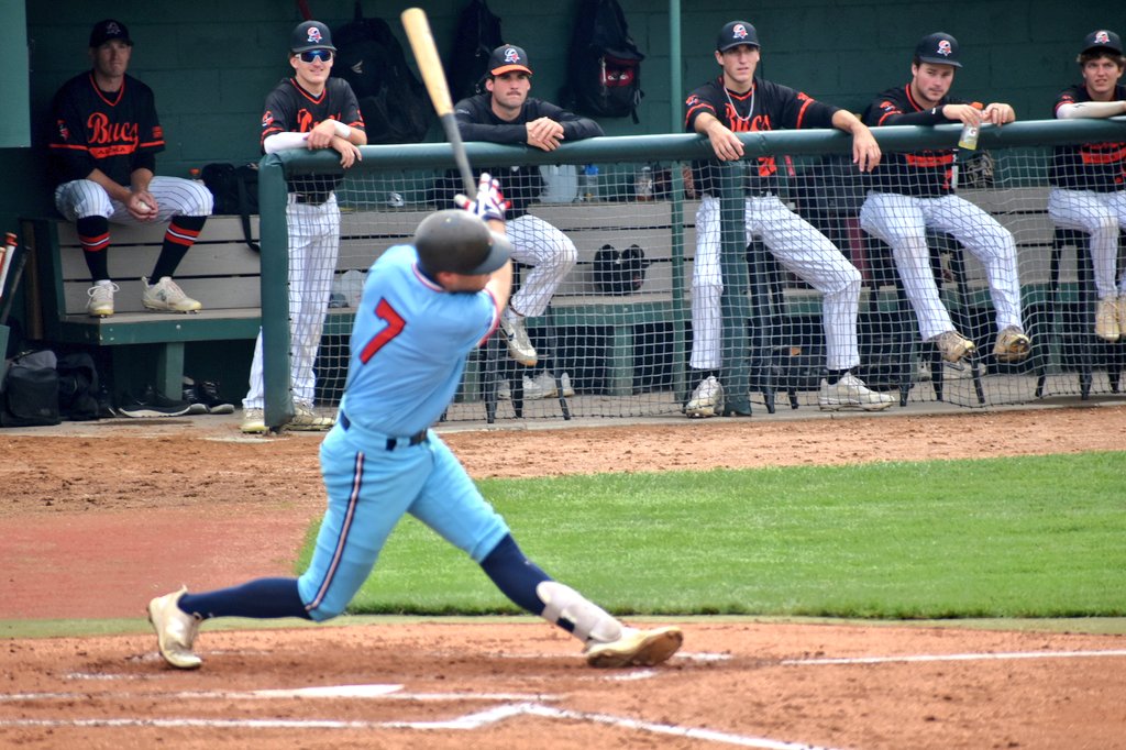 Minnesota Baseball Association tweet media