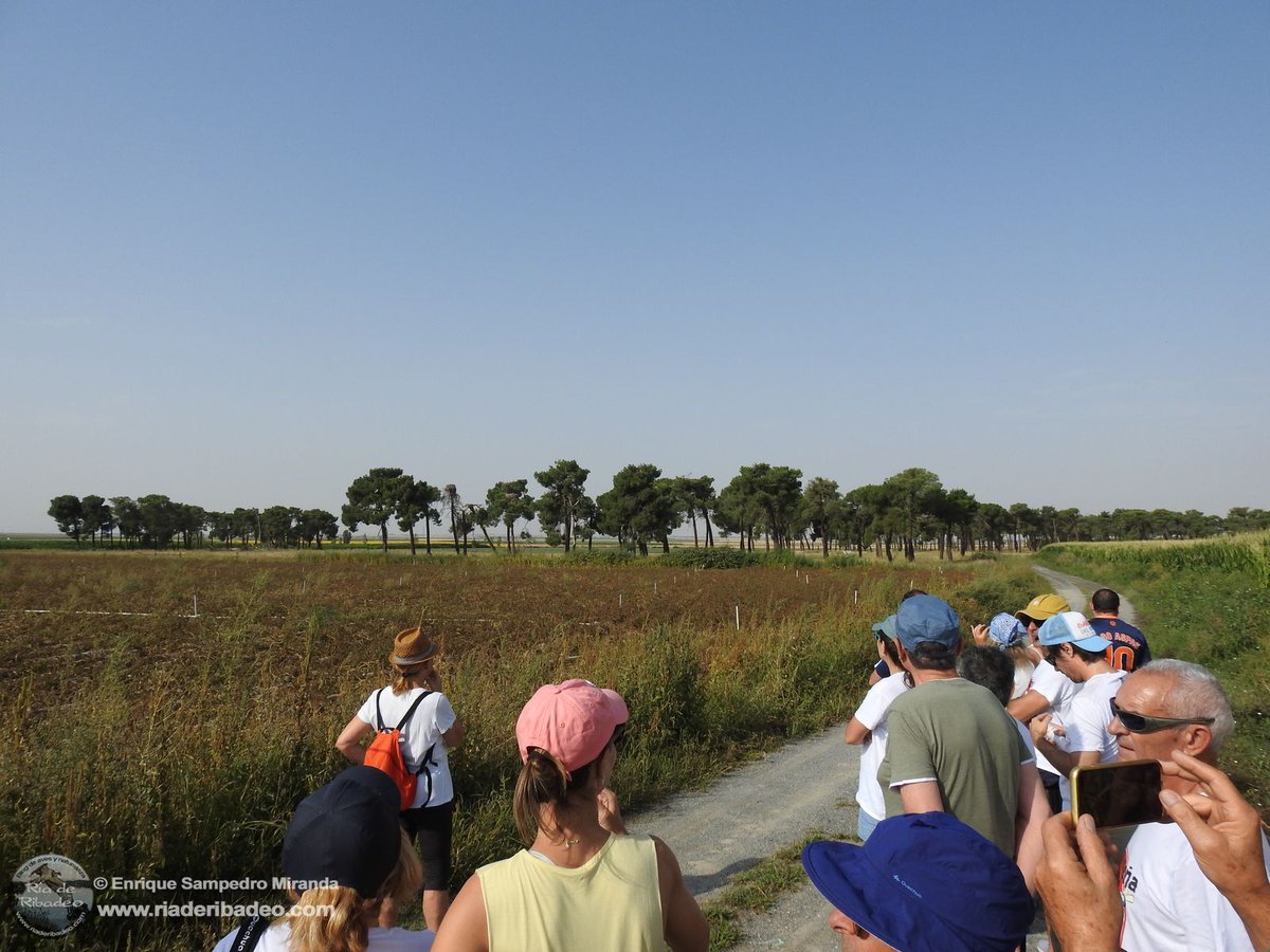 Ruta Stop Biometano Aldeaseca. Artículo y fotos en el blog: ria-de-ribadeo.blogspot.com/2025/08/ruta-s…