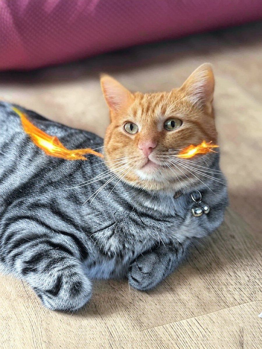 Mum is still playing with Grok…

Make me into a Seraphim she said. Not altogether sure why I have a halo over each ear.

Give me fiery wings, still a halo over each ear or a fiery moustache and I’m a bit ginger. Sigh!  Grok, ya not that clever!!!