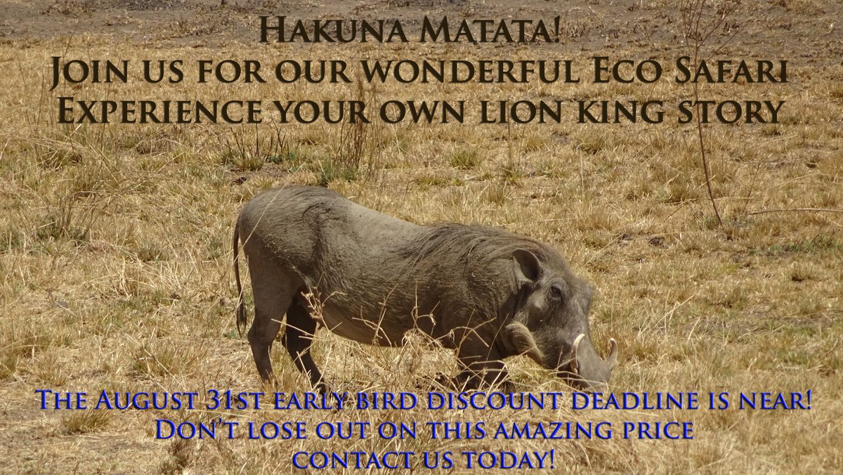 Join us on this amazing adventure. Reservations are very limited and are filling up. And our next discount deadline is coming fast. August 31st is almost here! Learn more at theearthorganization.org/eco-safari/
#safari #ecosafari #WildSide #africa #theearthorganization #environment