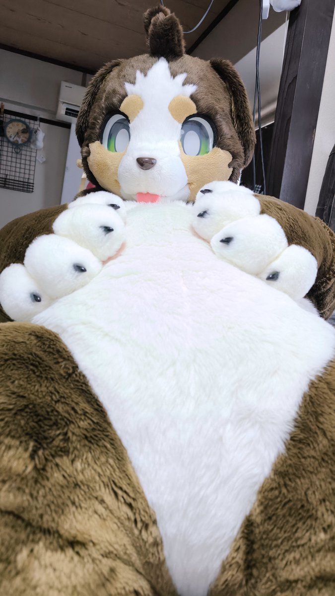 #ケモノをみて今週もがんばりマンデー 
(📷:@ a3131316)