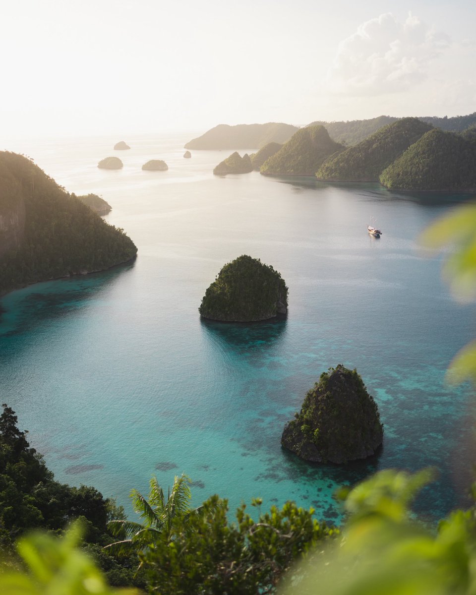 GroverMaxwell's tweet image. The only photos NOT made with imagine you will see on your feed this week