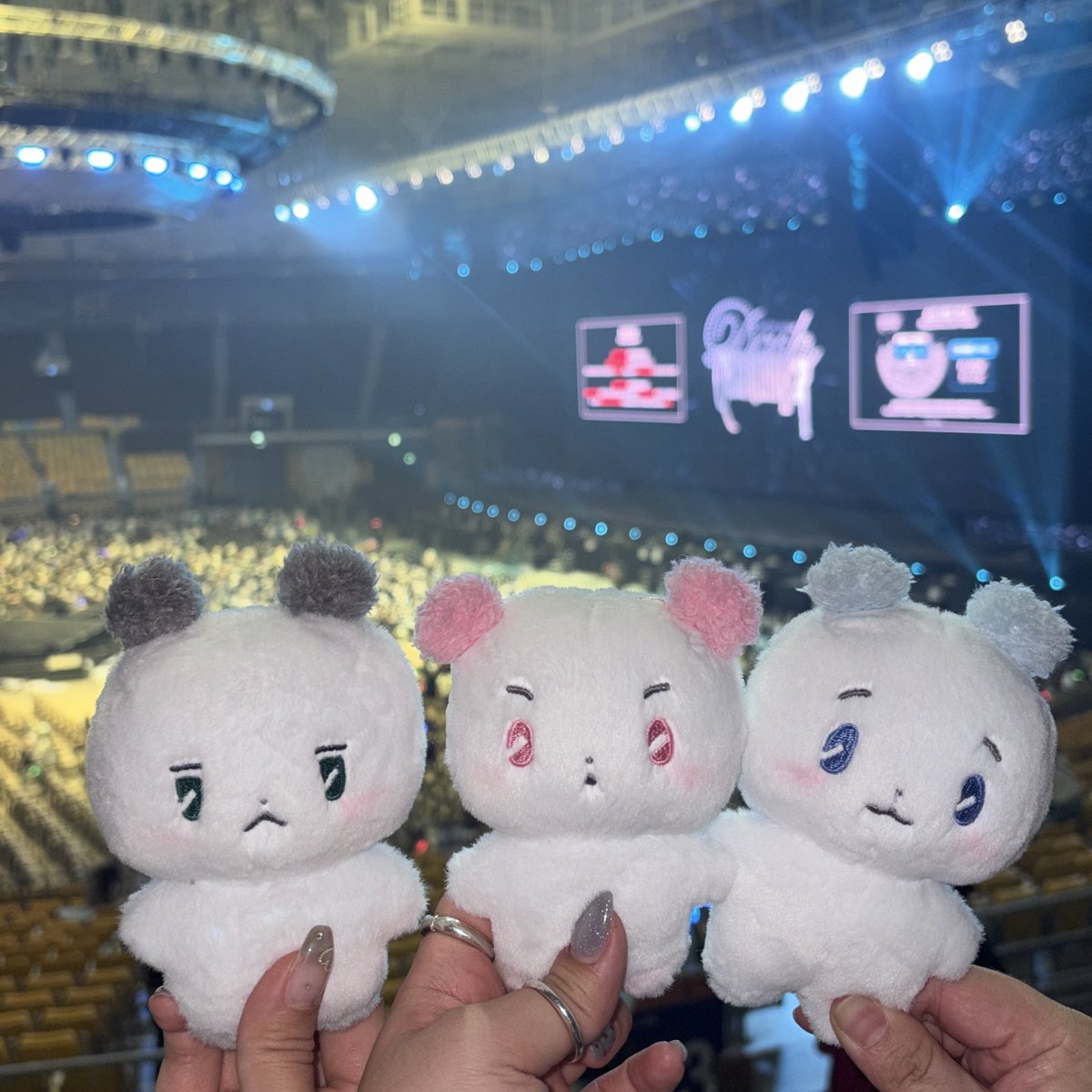 Bombinfp's tweet photo. 넘믱 행복했어💓 https://t.co/t9DjL0MLLZ