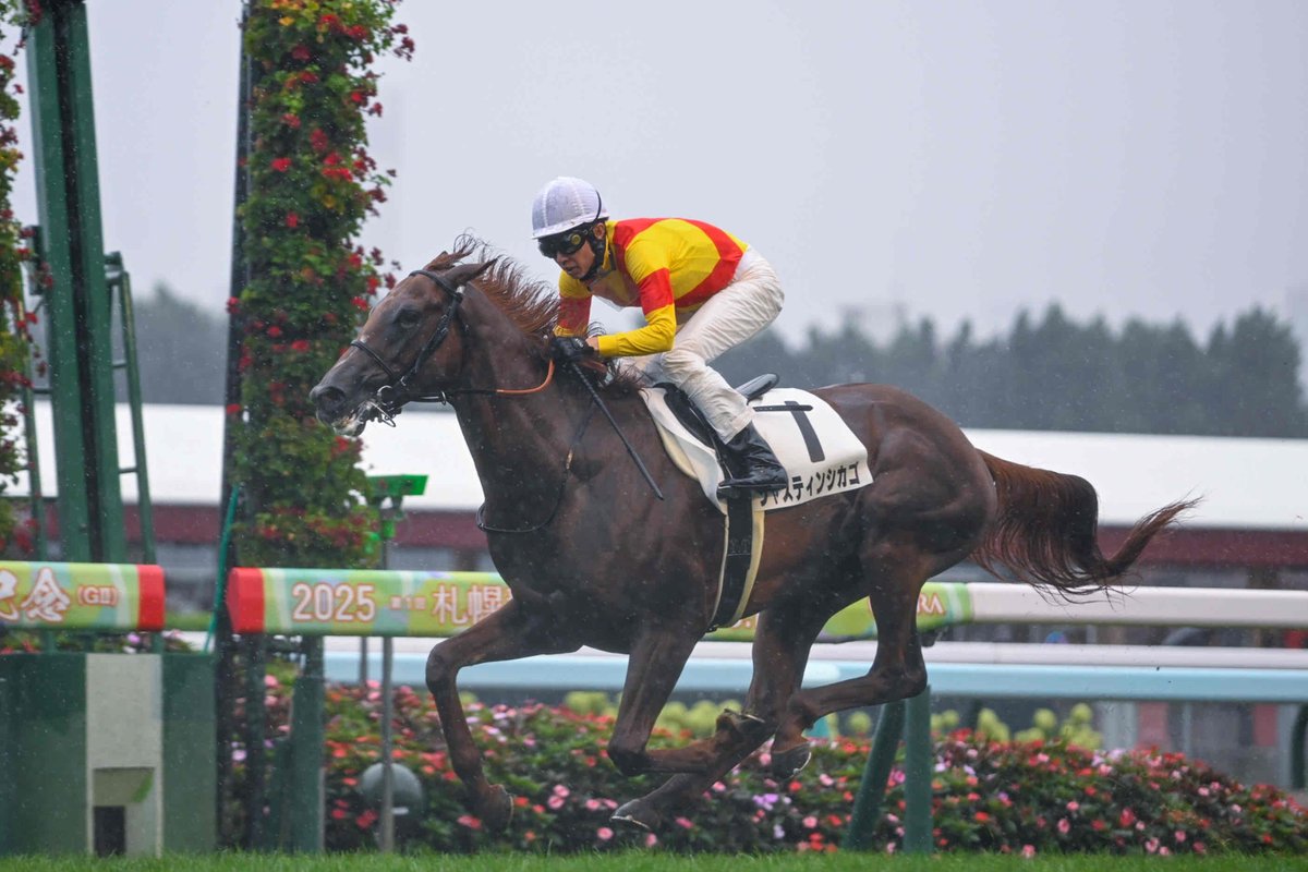 【値下対応可☻コメント欄にて】武豊ジョッキー、スポーツ紙記事まとめ 値下対応可☻コメント欄にて】武豊ジョッキー、スポーツ紙記事まとめ