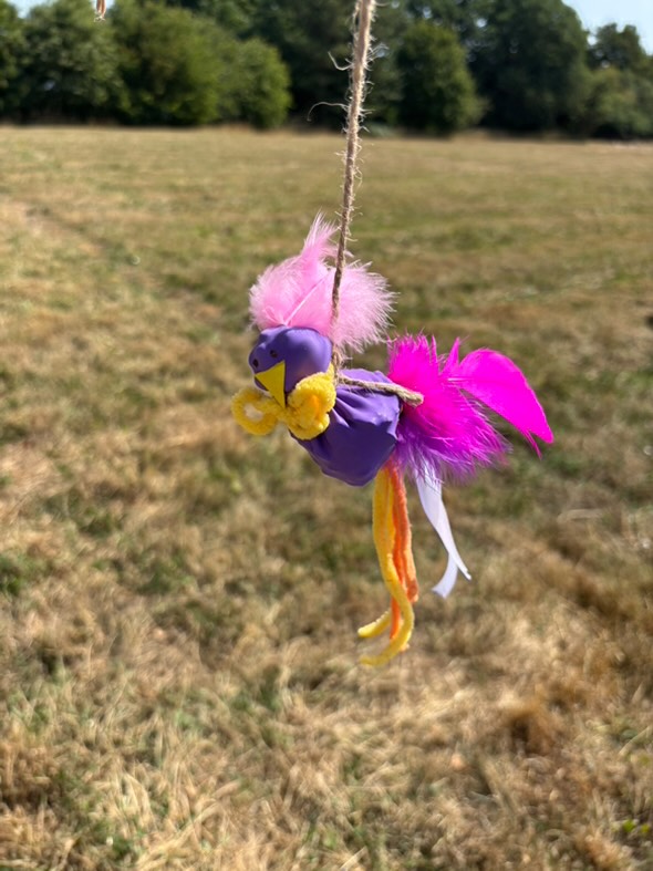 CountryDays tweet media