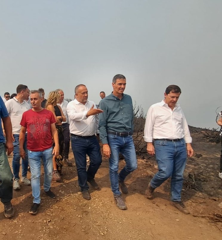 Faltan moscas para tanta mierda junta