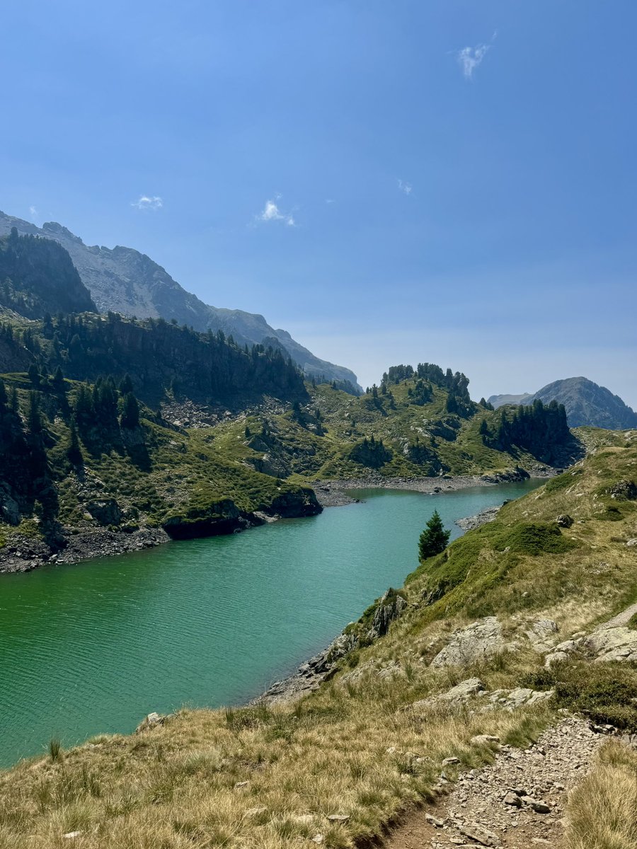 soma🇵🇸 tweet media