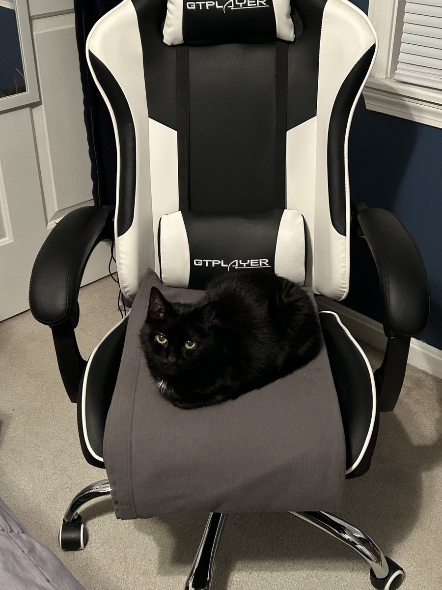 devon_r_rivard's tweet image. Happy Black Cat Appreciation Day to my 15-year-old kitty, Puck!