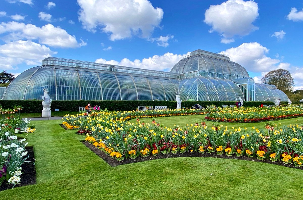 Ipaintatnight's tweet photo. #AlphabetChallenge #WeekGforGlass  Palm House, one of Kew Gardens several glass houses https://t.co/hD4ciZS0wX