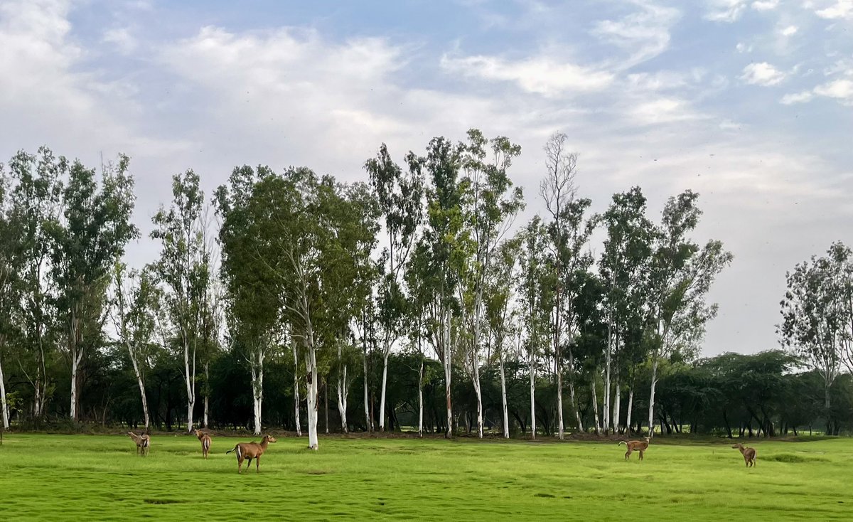 Quote with a touch of green….💚💚