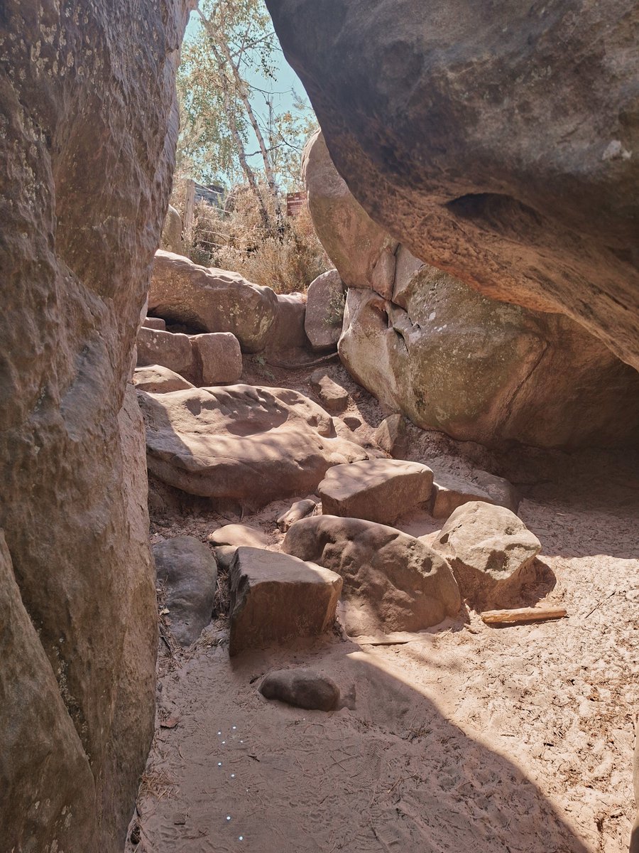 Cathérine Deshayes tweet media