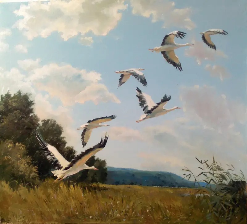 Яна Карпенко "Лелеки", 2013 рік.