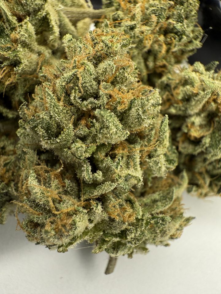 High Times Strains Of The Month: August 2025

We have a lineup of absolute hitters to help you celebrate August in our High Times Strains of the Month. Whether you’re looking for fuel, candy, or Z, this group of strains is sure to have something in your wheelhouse.

PINK DIRT –