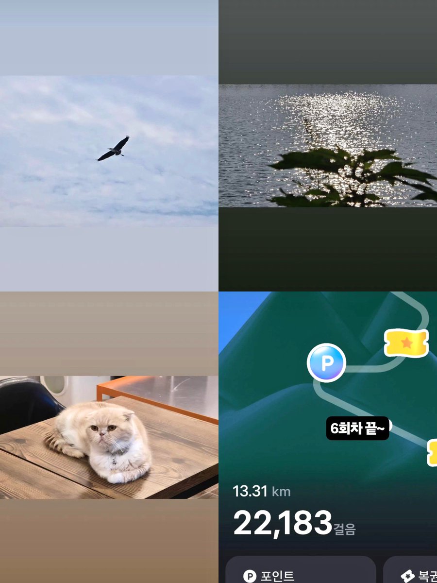 More snapshots from today’s set~ looks like staff covered a lot of ground, especially on foot 🔥

👤 “6th shoot done~”

#Shining #샤이닝 #Jinyoung
#진영 #GOT7 <a href="/JINYOUNG/">박진영</a>