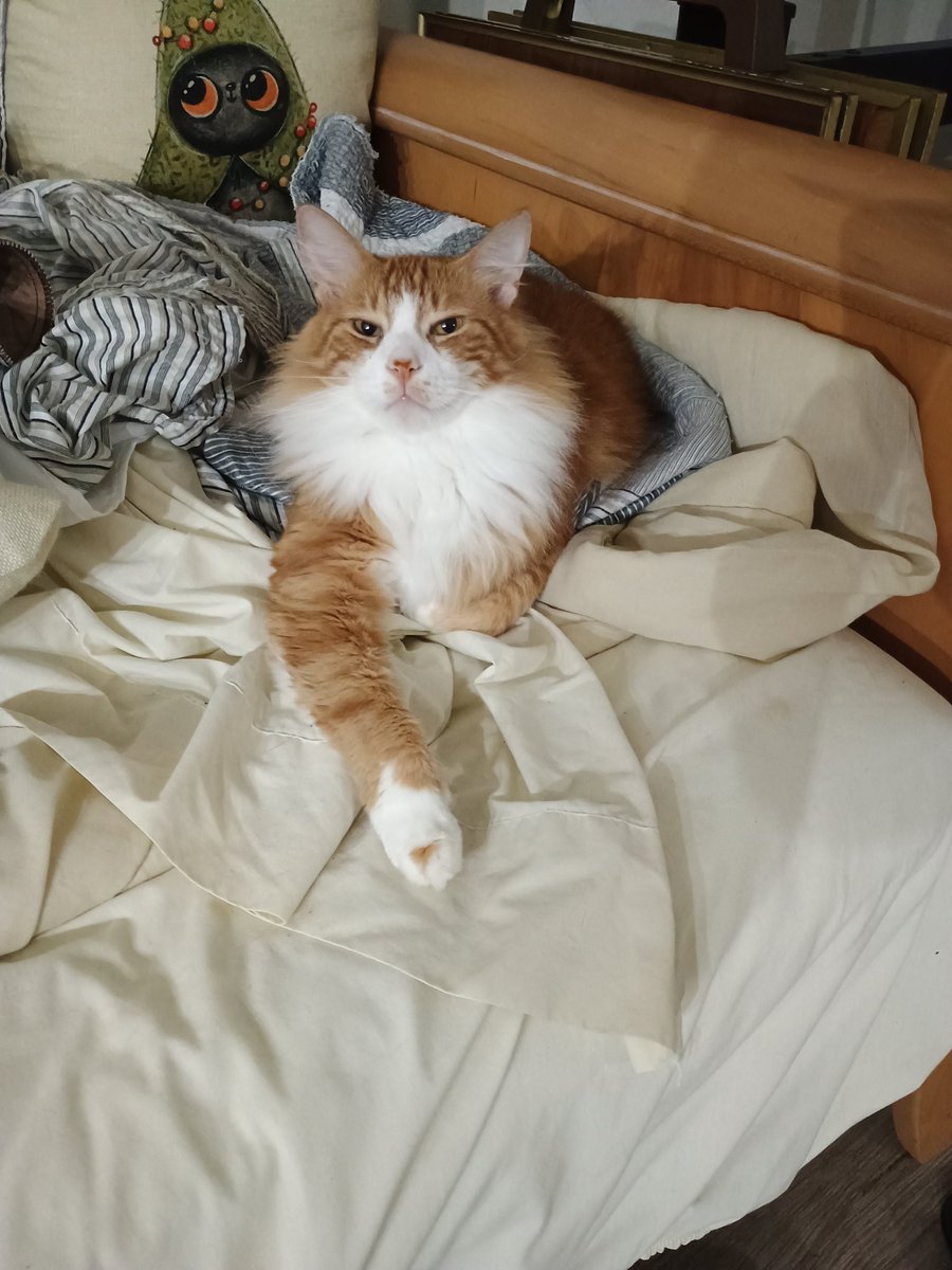 Gotta kiss his lil paw spot to declare your undying loyalty