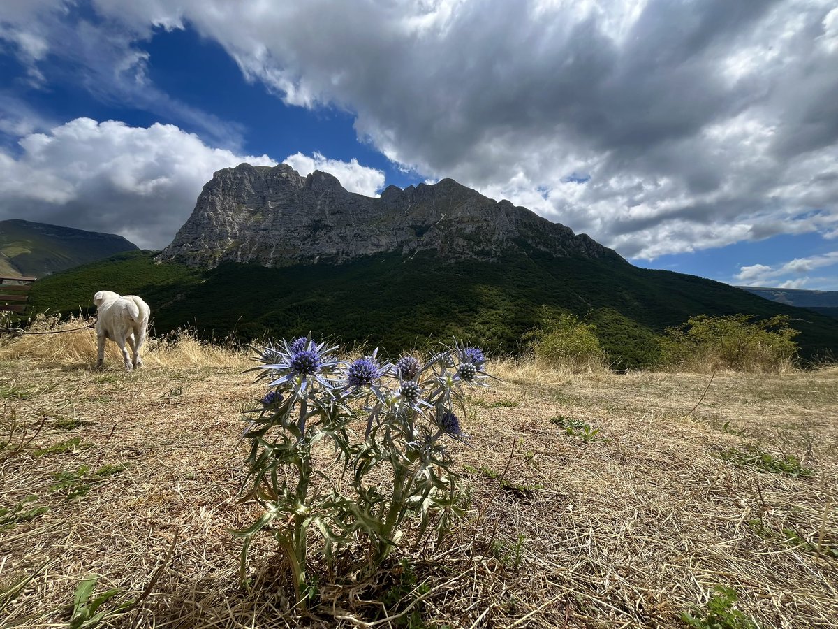 marpetre's tweet photo. Casali di Ussita - Monte Bove 💙 #sibillini #ussita #marche https://t.co/d65AKQD7Ch
