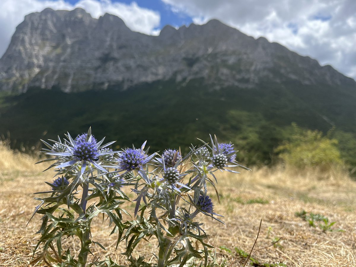 marpetre's tweet photo. Casali di Ussita - Monte Bove 💙 #sibillini #ussita #marche https://t.co/d65AKQD7Ch