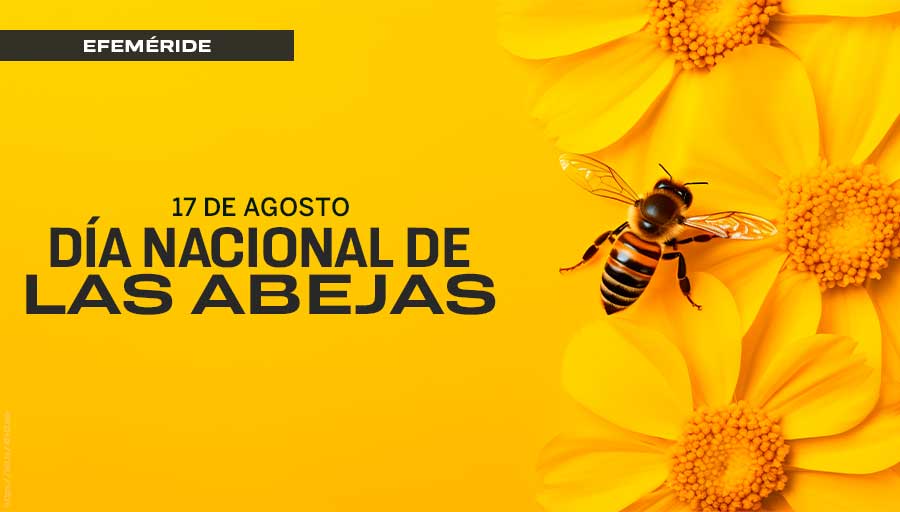 UNAM_MX's tweet photo. En realidad, pocas producen miel 🍯. Pero casi todas las especies, al ser polinizadoras, están al servicio de la vida 🌻. #UnDíaComoHoy se conmemora el Día Nacional de las Abejas 🐝, para resaltar la importancia de conservar sus poblaciones > https://t.co/FUaVLrHII2 https://t.co/lj1S7HMFJ9
