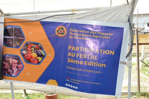 FestalRDC tweet media