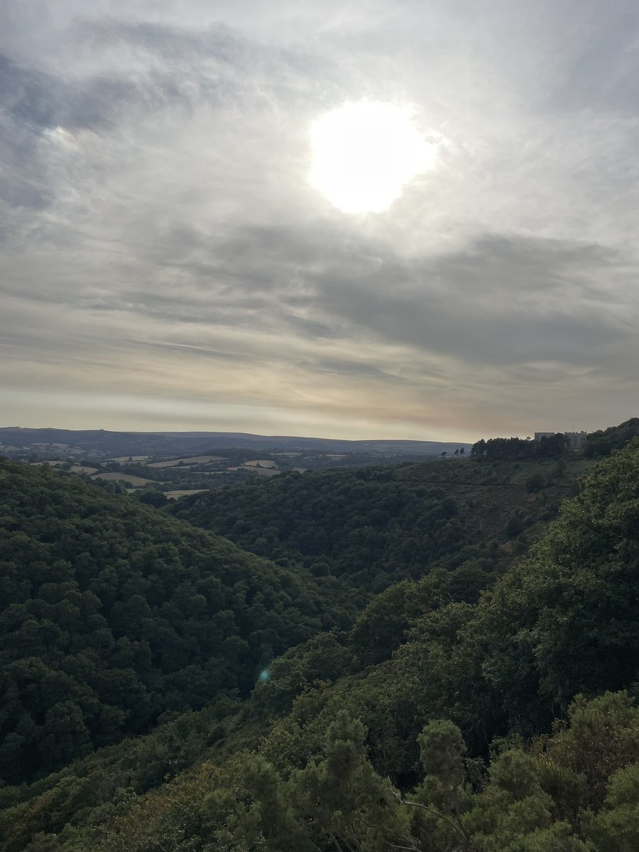 Grant Hardwell tweet media