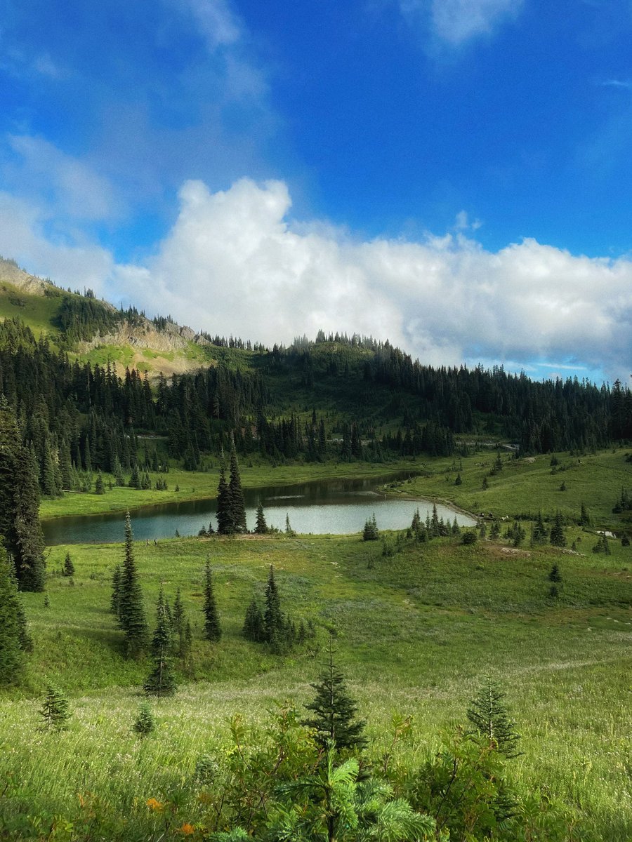myperusal's tweet photo. yesterday i walked amid a meadow with the lake and evergreen trees as my companions https://t.co/wZiHKO9J3w